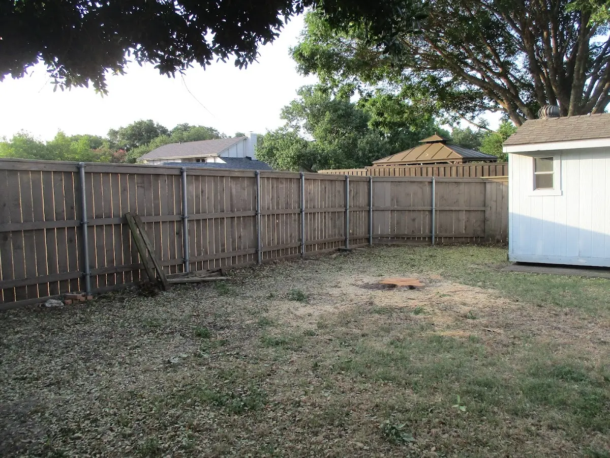 Cleared yard after professional tree removal in Walpole